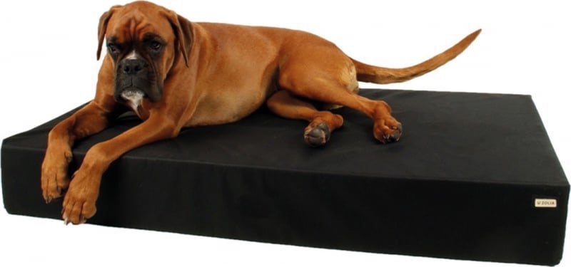 MISSMAOM Coperta termica per cani materasso per cani lettino per cani per viaggiare Blu Chiaro S coperta per cani base antiscivolo e idrorepellente 