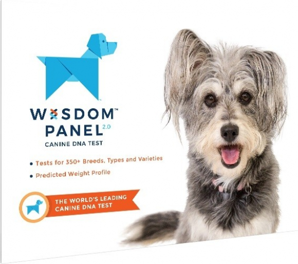 Wisdom Panel 2.0 Hunderasserkennung
