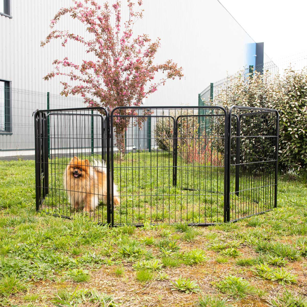 Enclos pour chiot, chien ou autres animaux, modulable et sécurisé Zolia - Diam. 200cm 