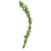 Liana con hojas 61 cm para terrario