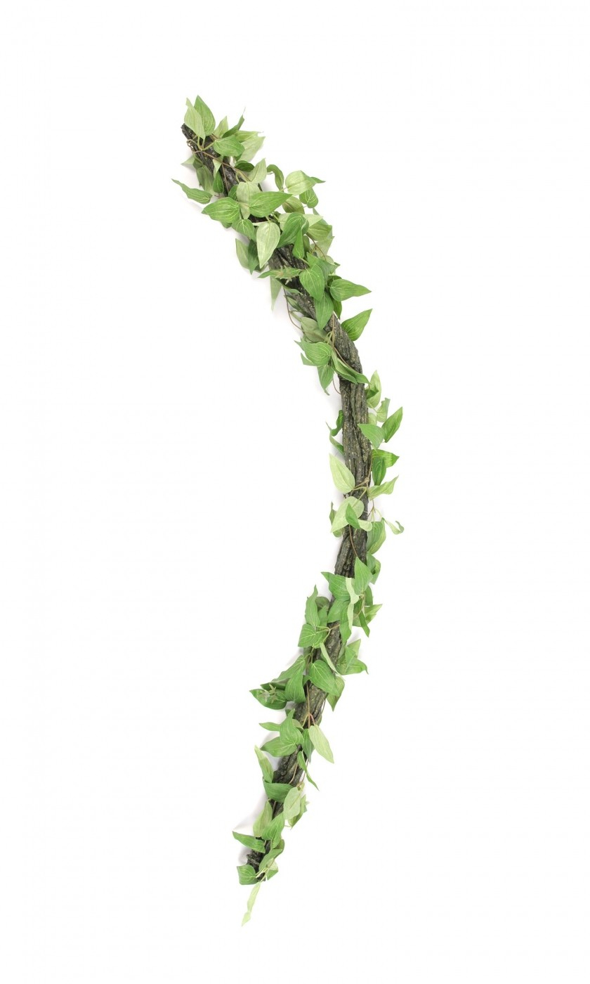 Liana con foglie 61 cm per terrario