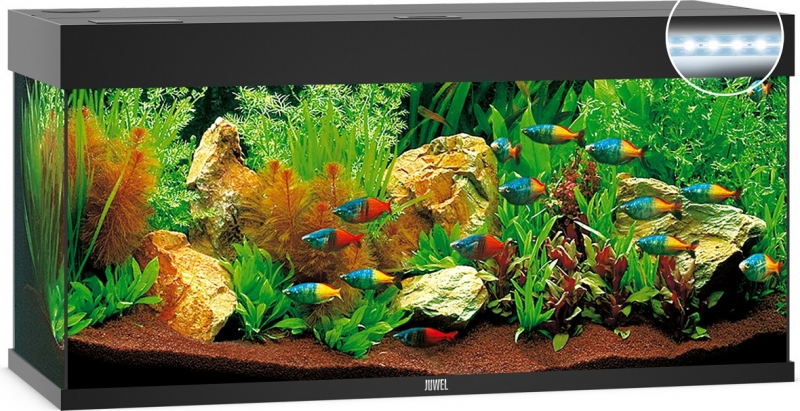 Tanzania scherm koffer Aquarium JUWEL Rio 180 LED