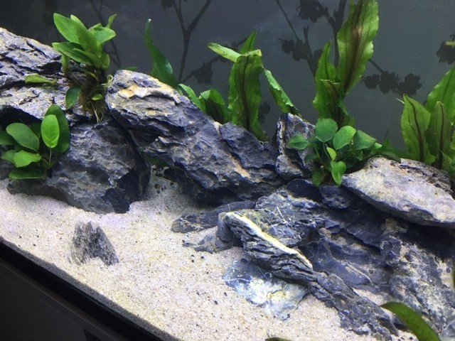 Avis sur JBL Manado Dark Substrat pour aquarium