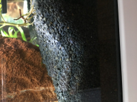 JBL - Manado Dark - 10l - Substrat de sol sombre pour aquariums d