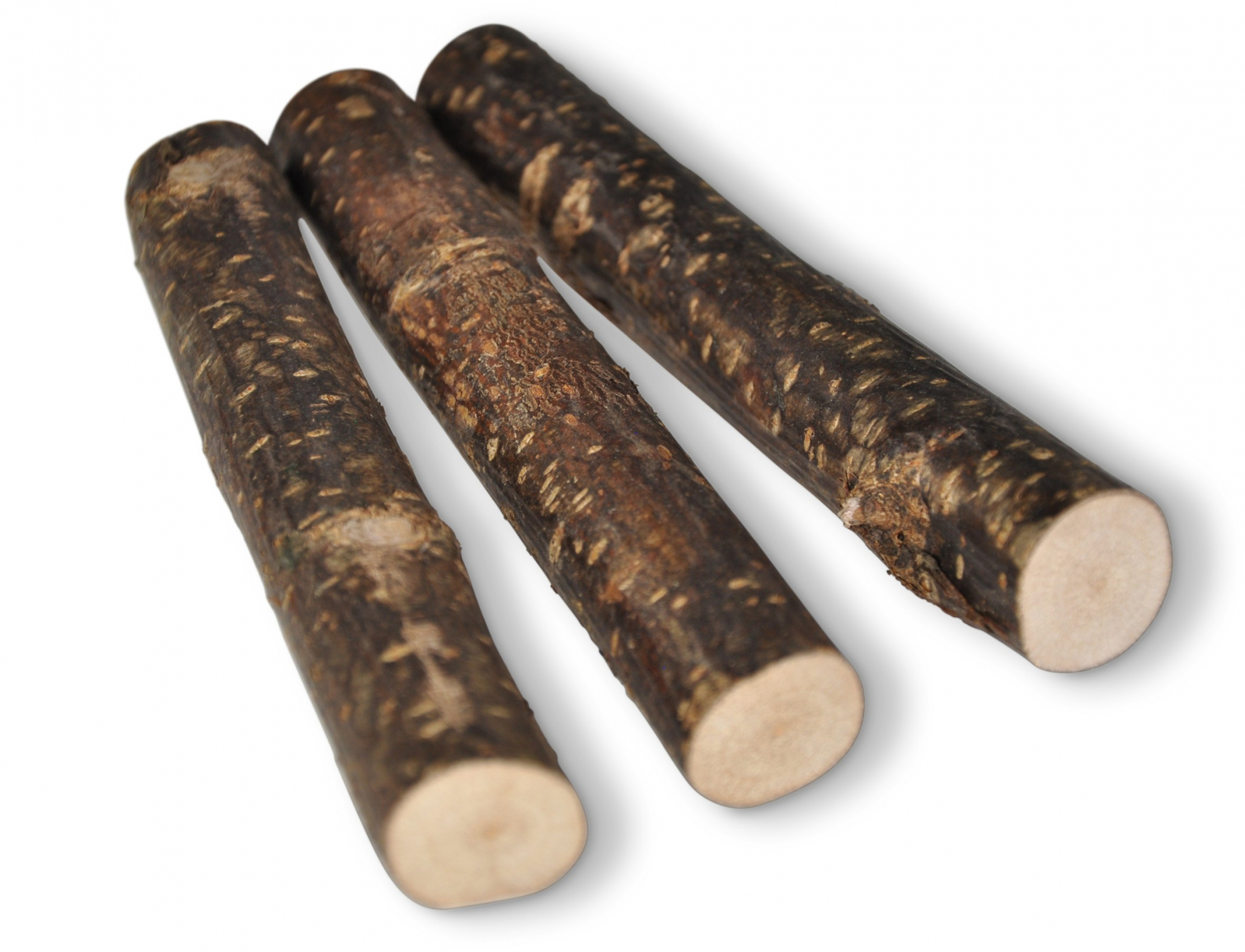 Palitos de madera de avellano para roedores