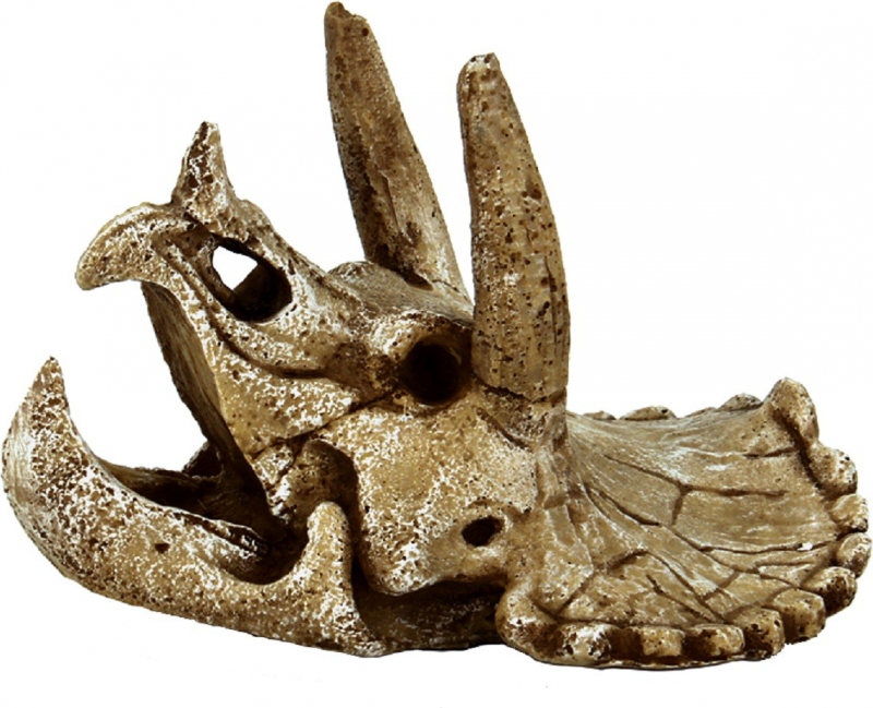 Crânio de Triceratops Superfish Skull Decorações para aquário