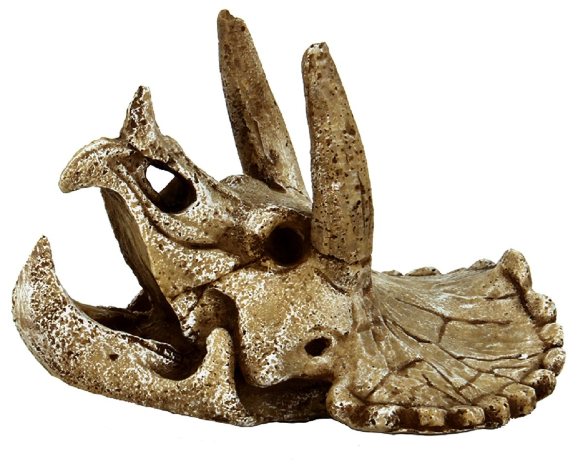 Crane Triceratops Superfish Skull Décorations