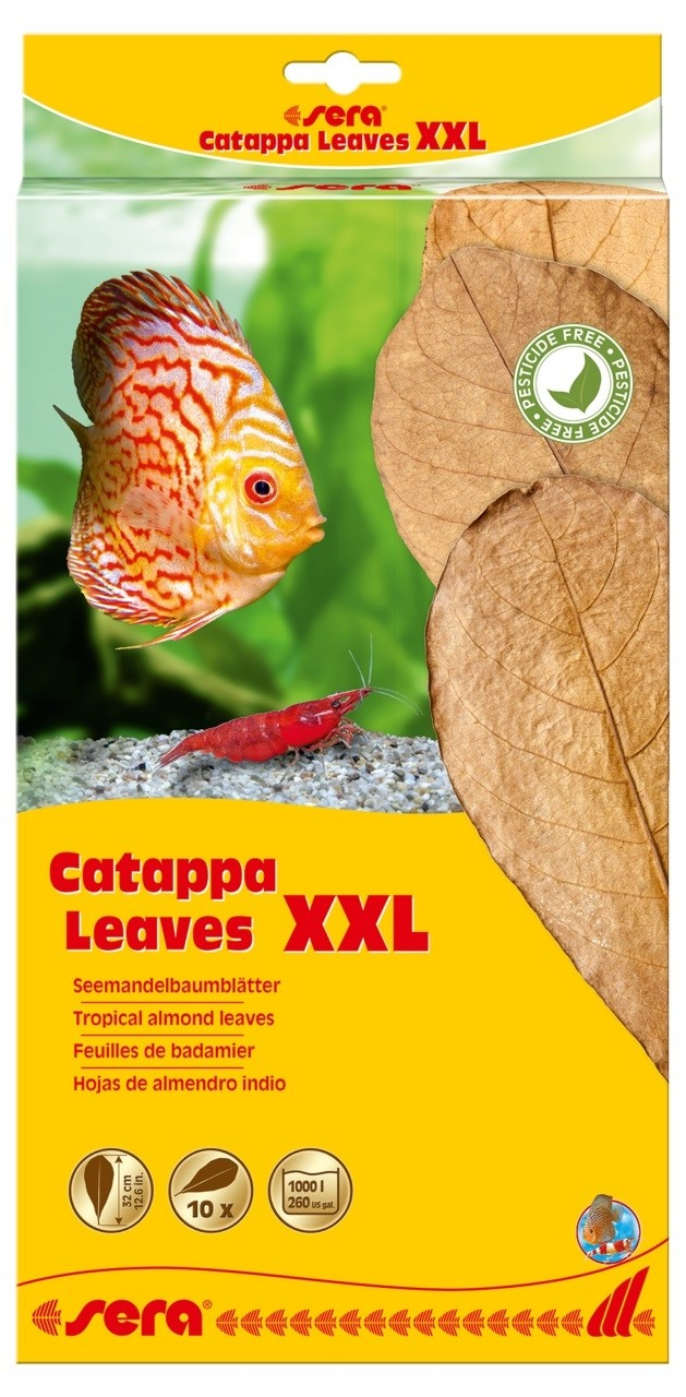 Sera Catappa Leaves Acondicionador natural del agua