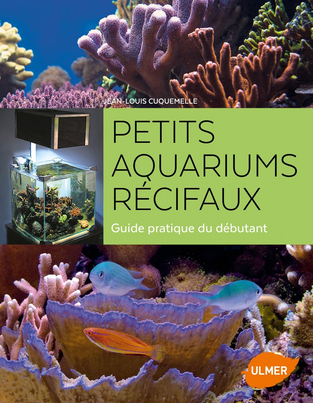 Pequenos aquários de recife, Nova edição