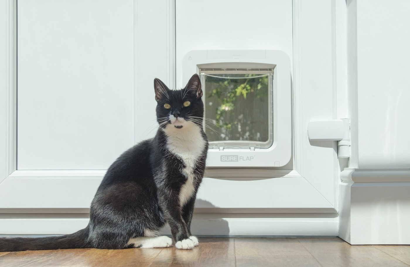 Grande porta de gato microchipada Connect para gatos e cães pequenos