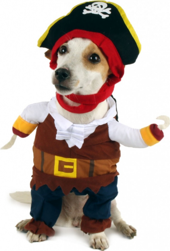 slang tussen Vermelden Verkleedkleding Piraat voor honden Zolia Festive