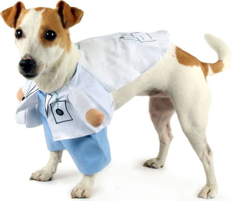 Zolia Verkleidung für Hunde Doktor