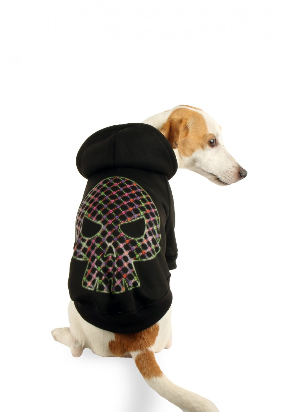 Sweatshirt para cão Caveira Zolia Festive