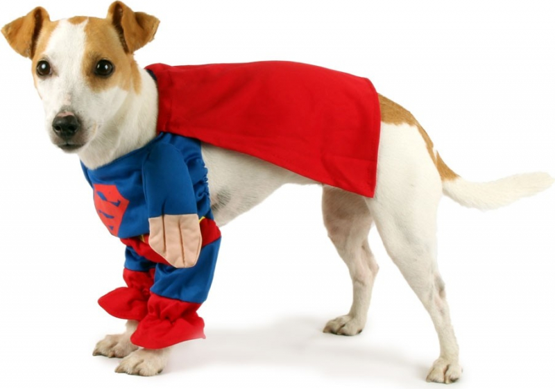 Zolia Verkleidung für Hunde Superman