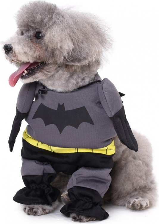 Zolia Verkleidung für Hunde Batdog