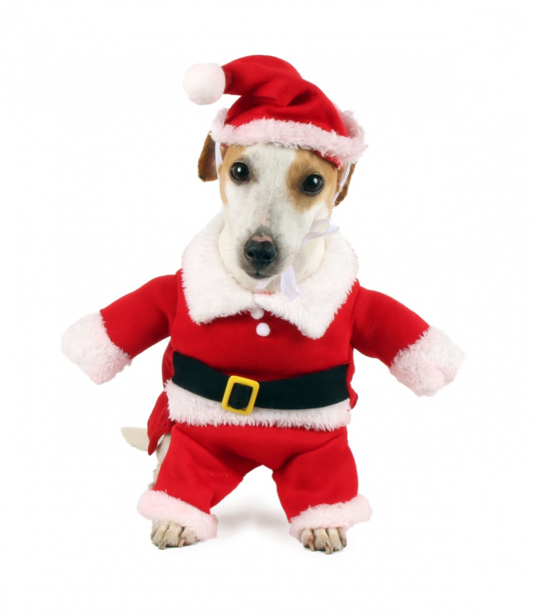 Festivi Abbigliamento Natale Cane Pet Costume Natalizio Adatto per Natale con cappello di Babbo Natale Cane Gatto Vestiti di Natale M Babbo Natale Costumi per Cane Babbo Natale Vestito Cane 