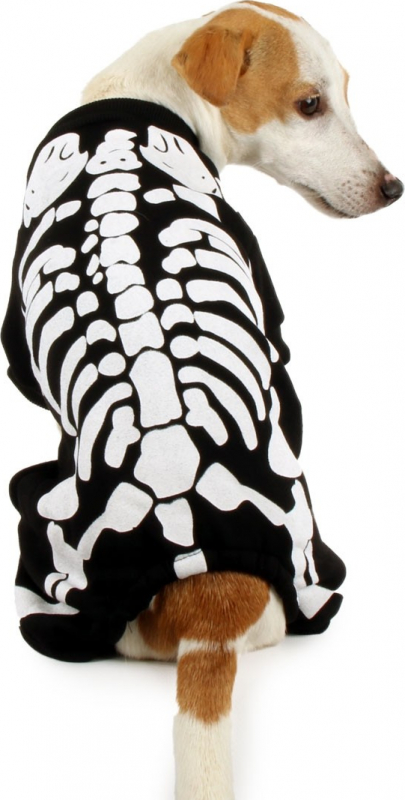 Zolia Festive Skelett Kostüm für Hunde