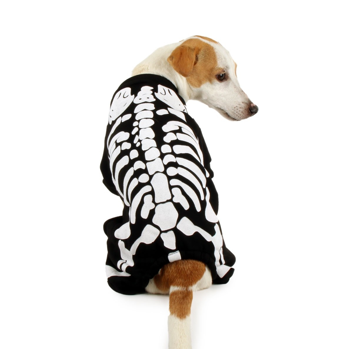 Disfraz de esqueleto para perros Zolia Festive