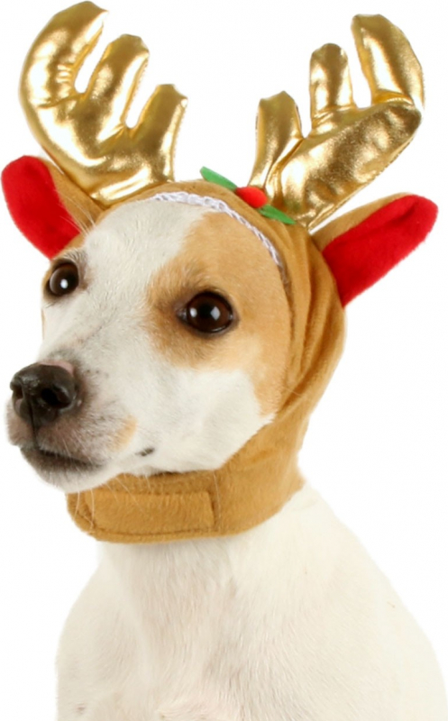 Disfarce de Natal para cães Capuz de Natal 