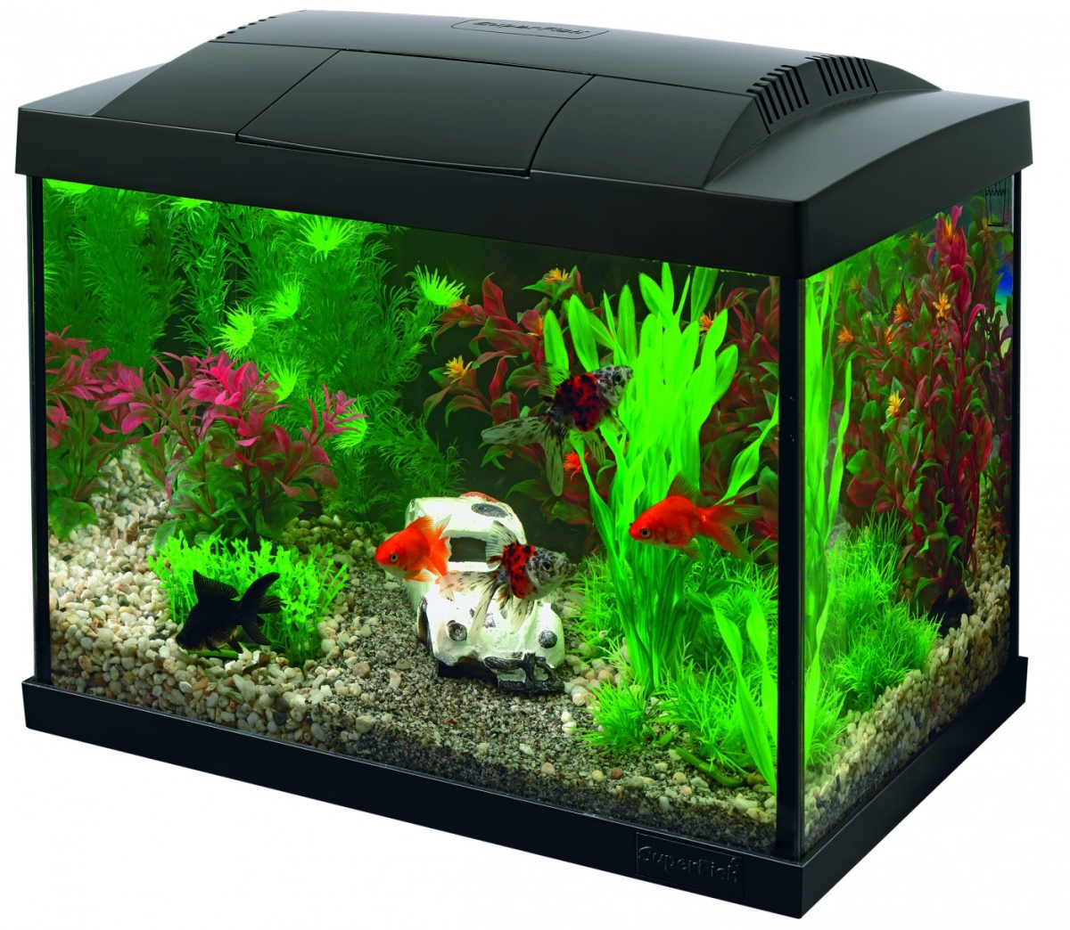 Kit aquarium décoratif Jalaya - 10L - 18,7L - 31,5L - Chêne clair