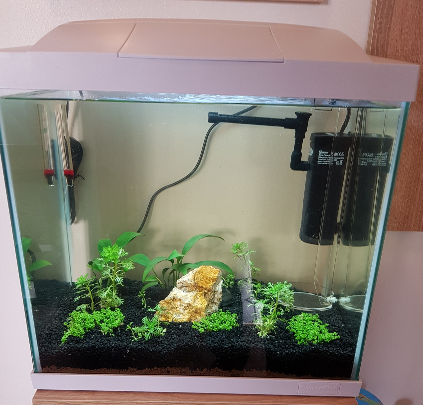 Superfish - Aquarium Equipé Qubiq Pro 30 pour Poisson - Blanc