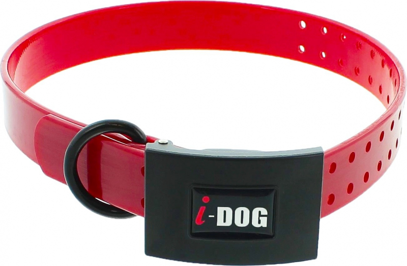 Halsband für Hund Premium I Dog 65cm