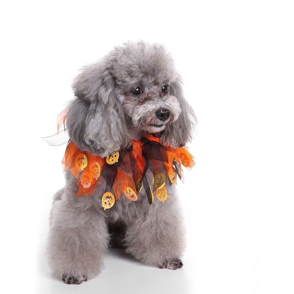 Collier Halloween Zolia Festive pour chien