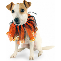 Halloweenketting ZOLIA Festive voor honden