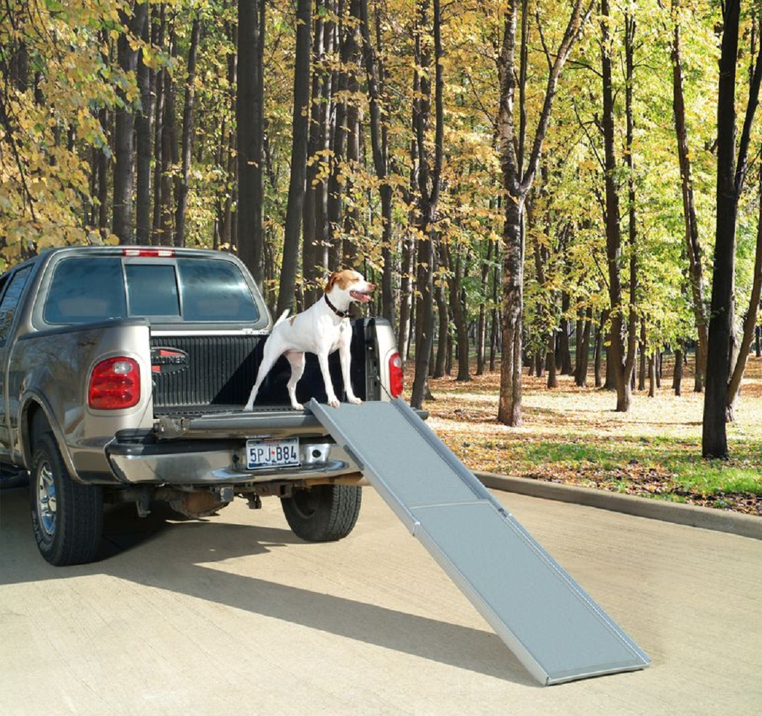 Rampe pour chiens Rampe d'accès pour chiens 120cm Animaux