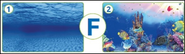 SuperFish Deco Poster F - 6 tailles Poster de fond pour aquarium