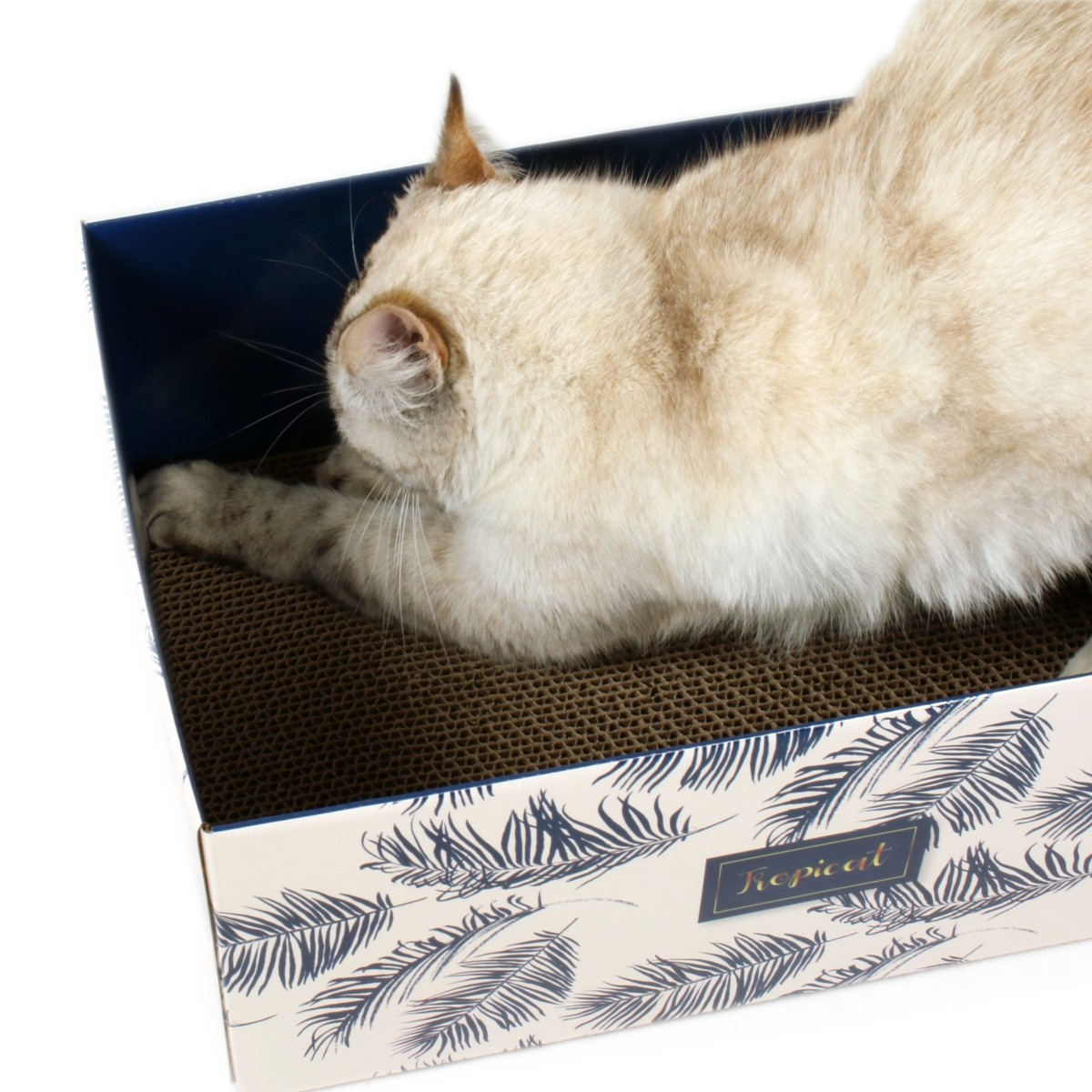 Rascador de cartón para gatos DIY Zolia TropiCat