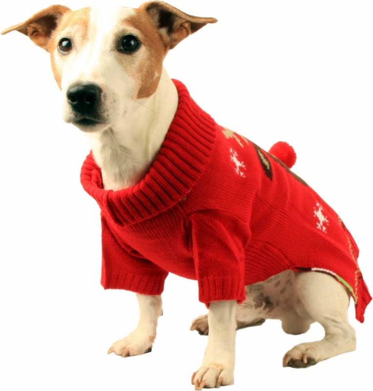 maglione natalizio per cani Yidata con renna e alce di Natale 
