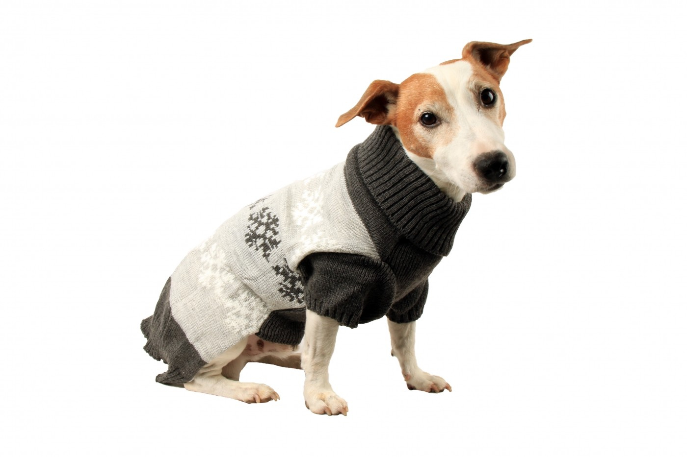Camisola para cão Zolia Festive Flocos de neve