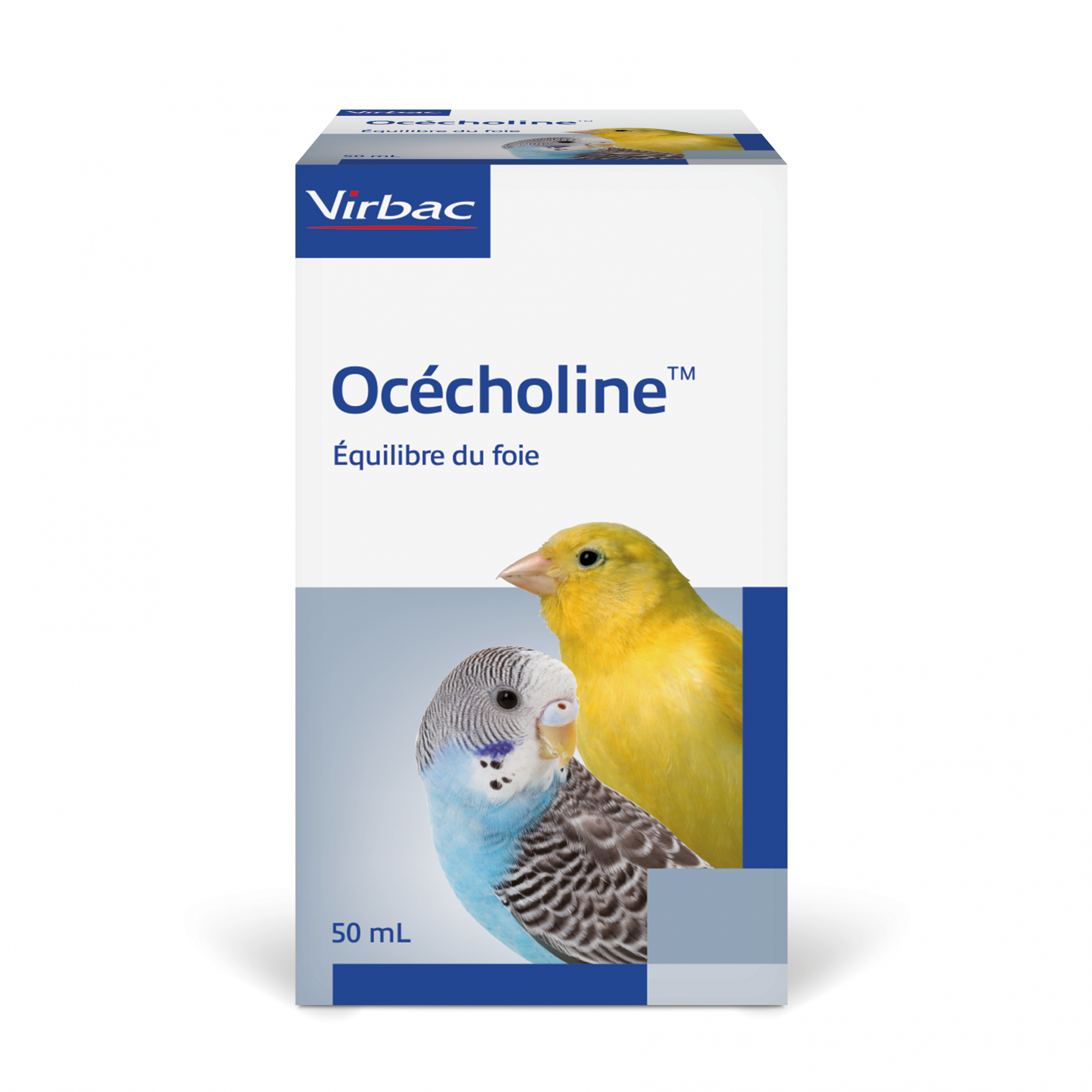 Virbac Ocecholine - Limita a infiltração de gordura no fígado