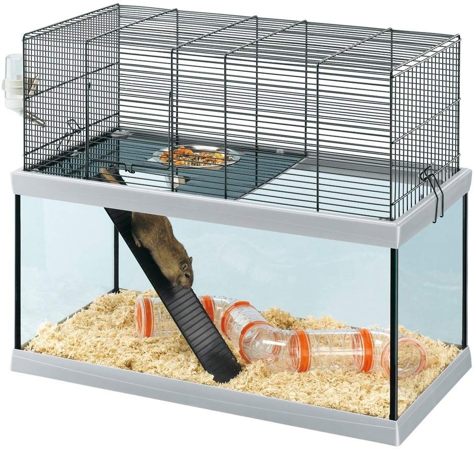 Cage en verre pour petits rongeurs - de 50 à 60 cm - Gabry 