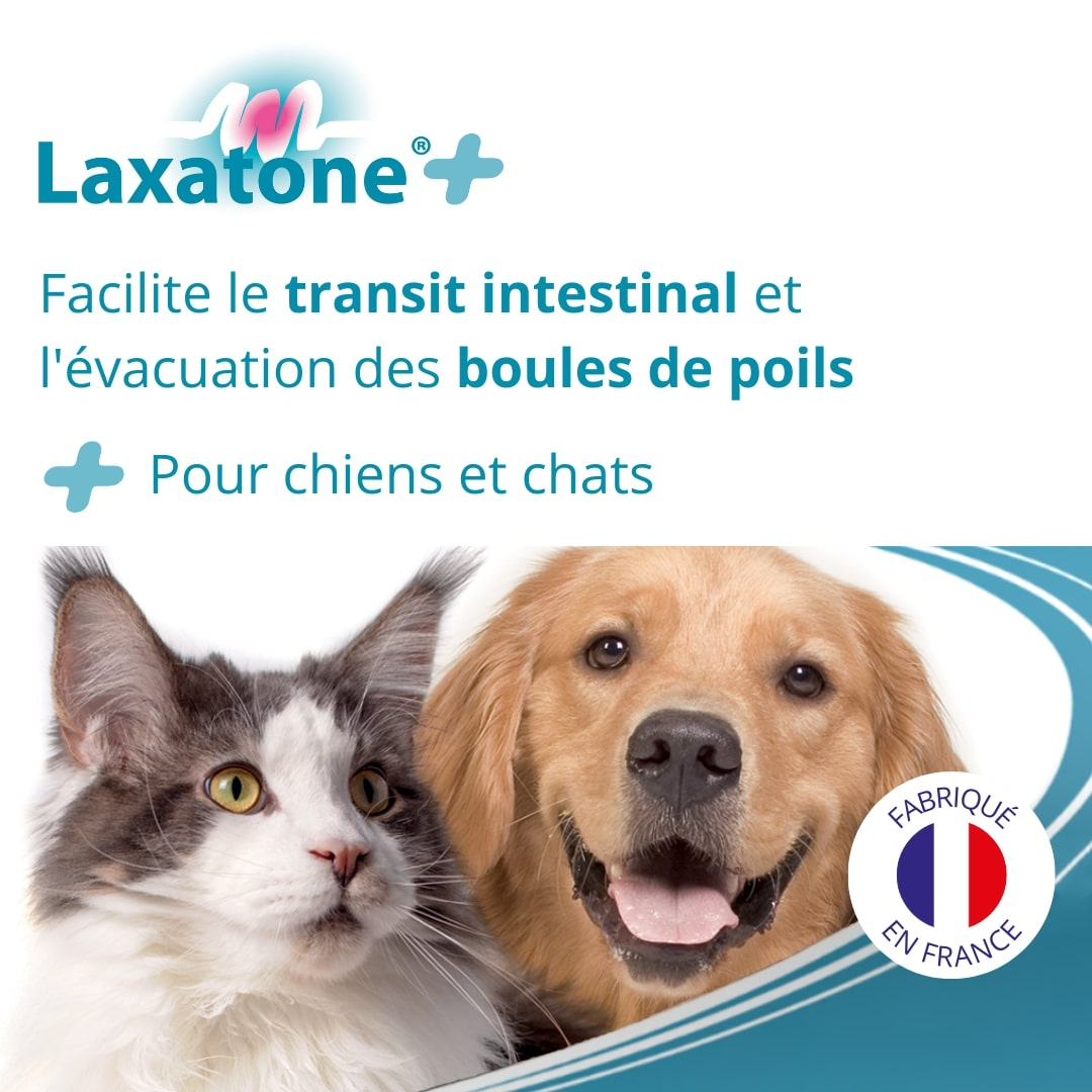 Laxatone Transit intestinal du chien et du chat