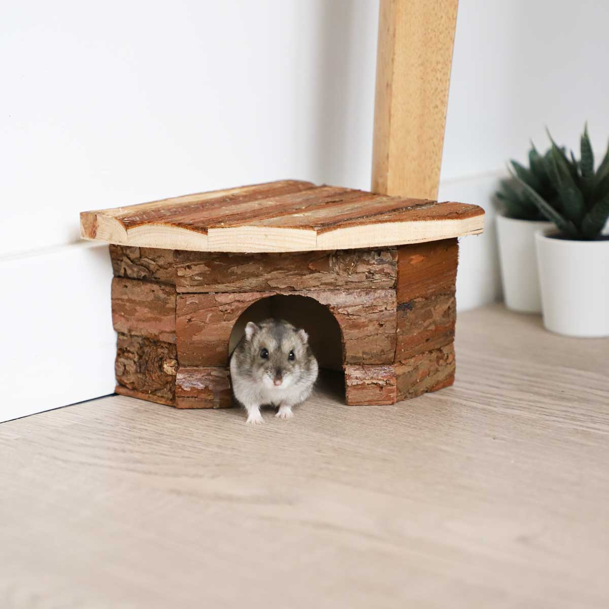 Casinha de canto em madeira para coelho e roedores Zolia - 4 tamanhos disponíveis