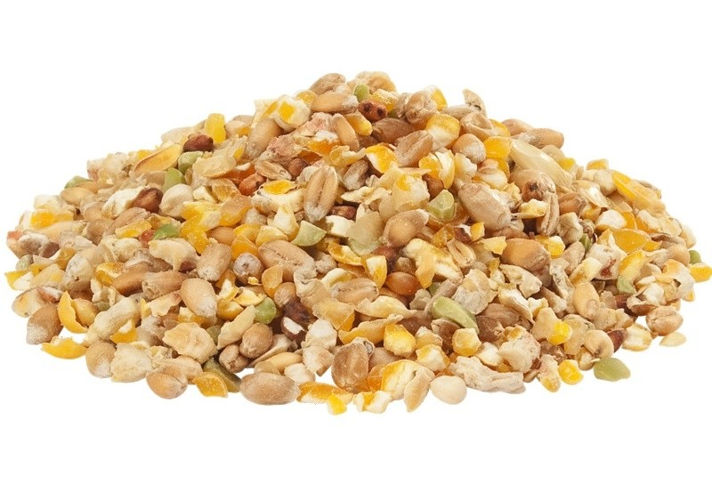 Country's Best Gold 4 Mini Mix 20kg - Mélange de céréales avec