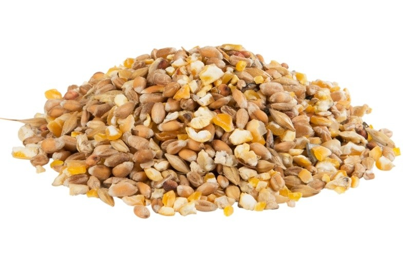 Country's Best Gra-Mix Mezcla de cereales y grit para aves