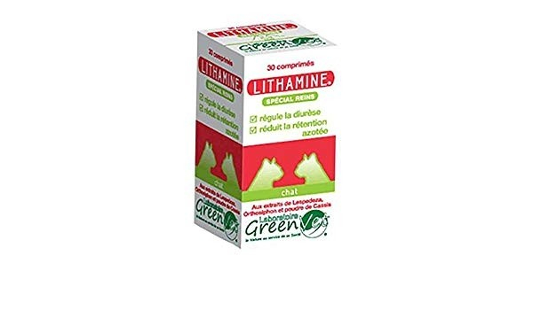 GREEN VET Lithamine Cane & Gatto per il Conforto Renale