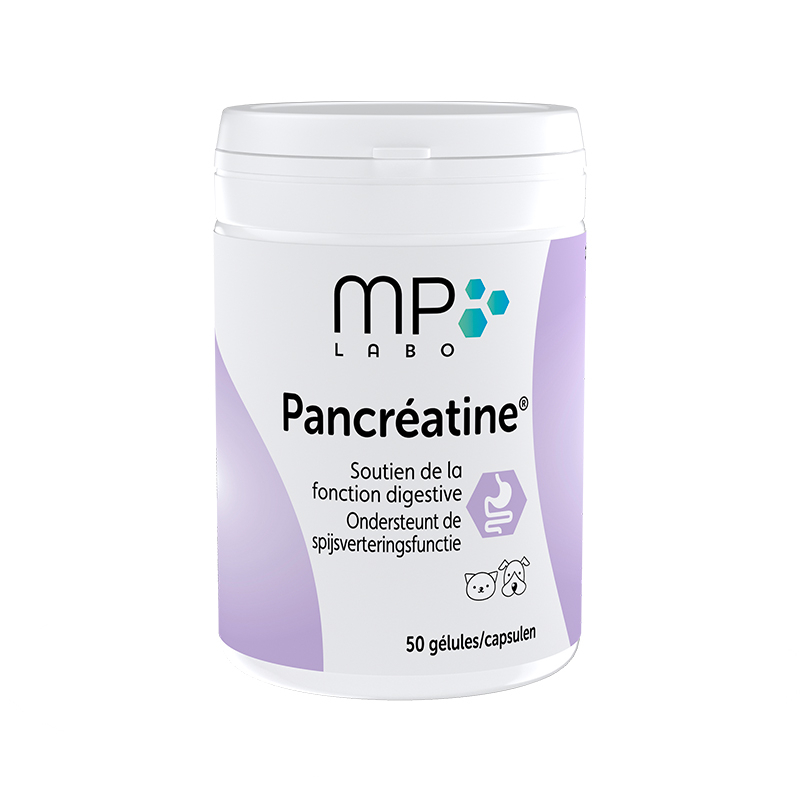 MP Labo Pancreatina Suporte para a função digestiva
