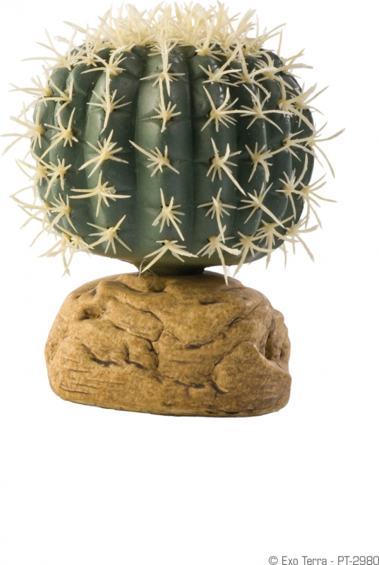 Cactus zeeëgel Exo Terra