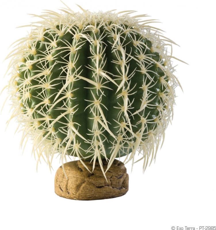 Planta cactus Exo Terra 