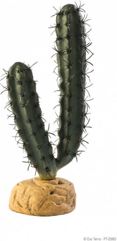Cactus doigts Exo Terra