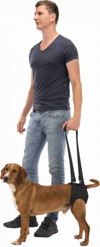 Arnés ortopédico trasero para perros -Varios tamaños disponibles