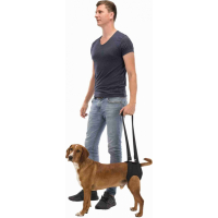 Aide à la marche pour chien - Plusieurs tailles disponibles