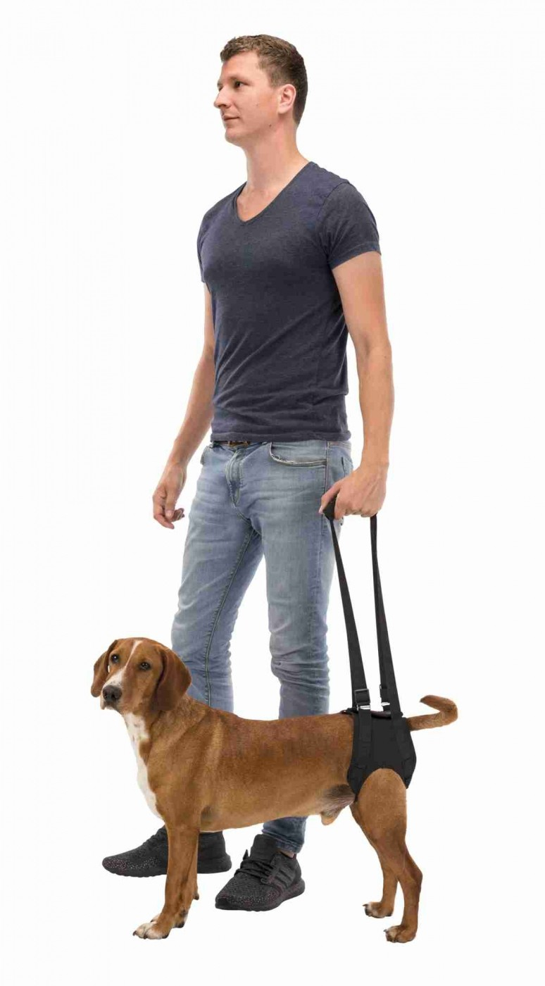 Auxiliar de andar para cães - Vários tamanhos disponíveis