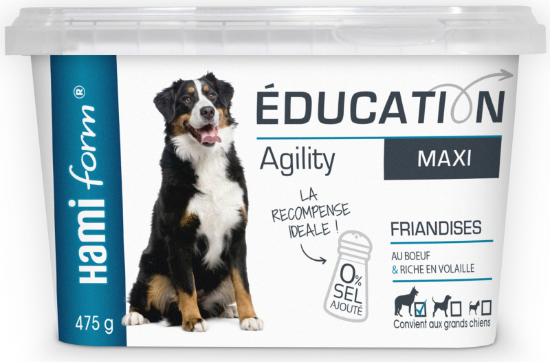 HAMIFORM Education Maxi - Snack Agility per Cani di Taglia Grande