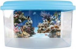 Petit aquarium Aqua travel box II medium 28cm