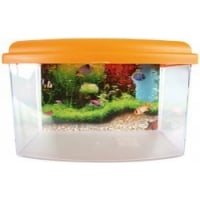 Petit aquarium Aqua travel box II medium 28cm